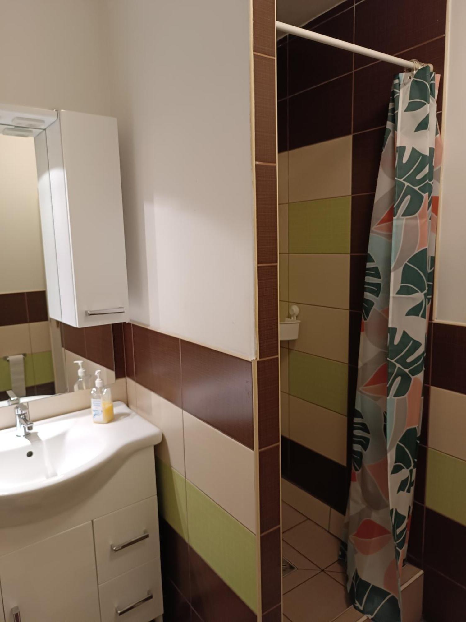 Downtown Apartments ブダペスト 部屋 写真